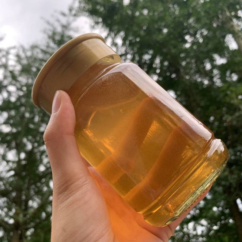大山野土蜂蜜，封盖成熟蜜，百花蜜，假一赔十！