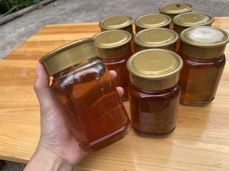 大山野土蜂蜜，封盖成熟蜜，百花蜜，假一赔十！