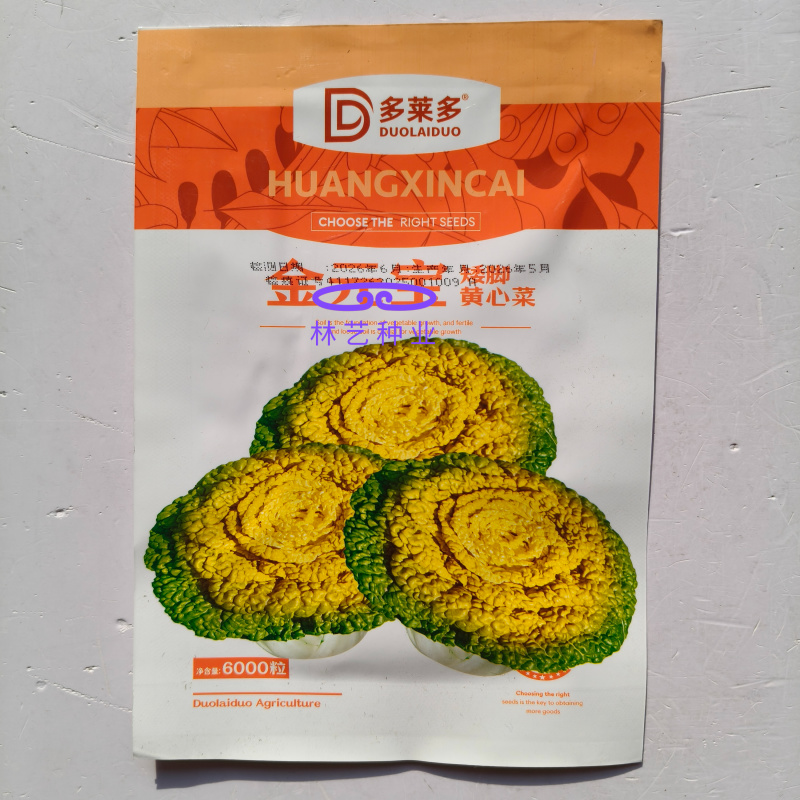 金元宝矮脚黄心菜种子菊花芯四季播阳台盆栽