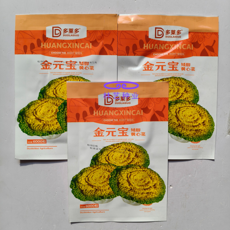 金元宝矮脚黄心菜种子菊花芯四季播阳台盆栽