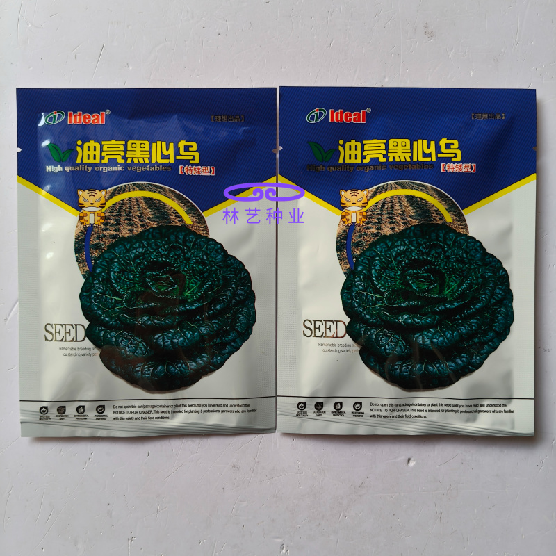 油亮黑心乌种子特矮型菊花心乌塌菜种子耐寒秋冬季