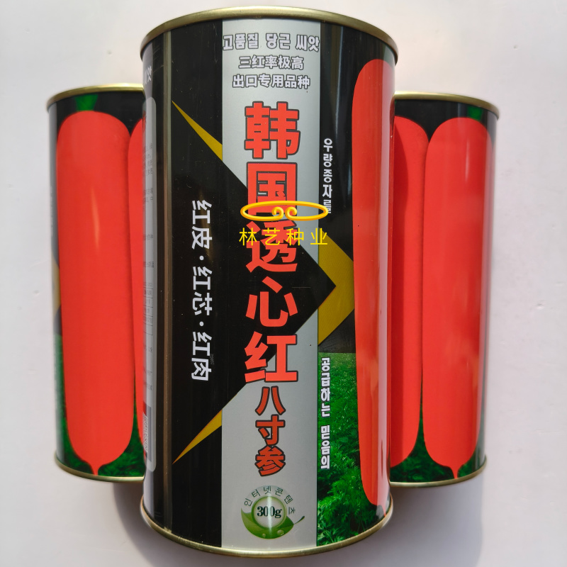 韩国透心红八寸参胡萝卜种子耐热耐寒高产抗病整齐优质胡萝卜