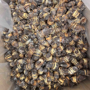 批发广东特色三宝扎陈皮咸橄榄