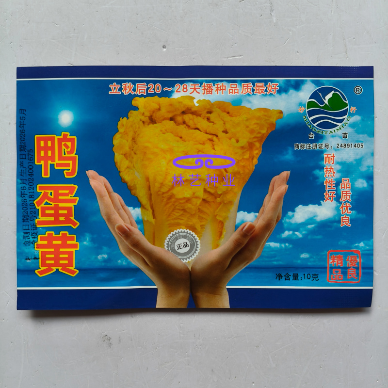 鸭蛋黄大白菜种子鲜嫩黄芯高产耐热抗病商品性佳