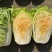 神狮桔红心大白菜种子炮弹形红心娃娃白菜60天耐贮运秋季播