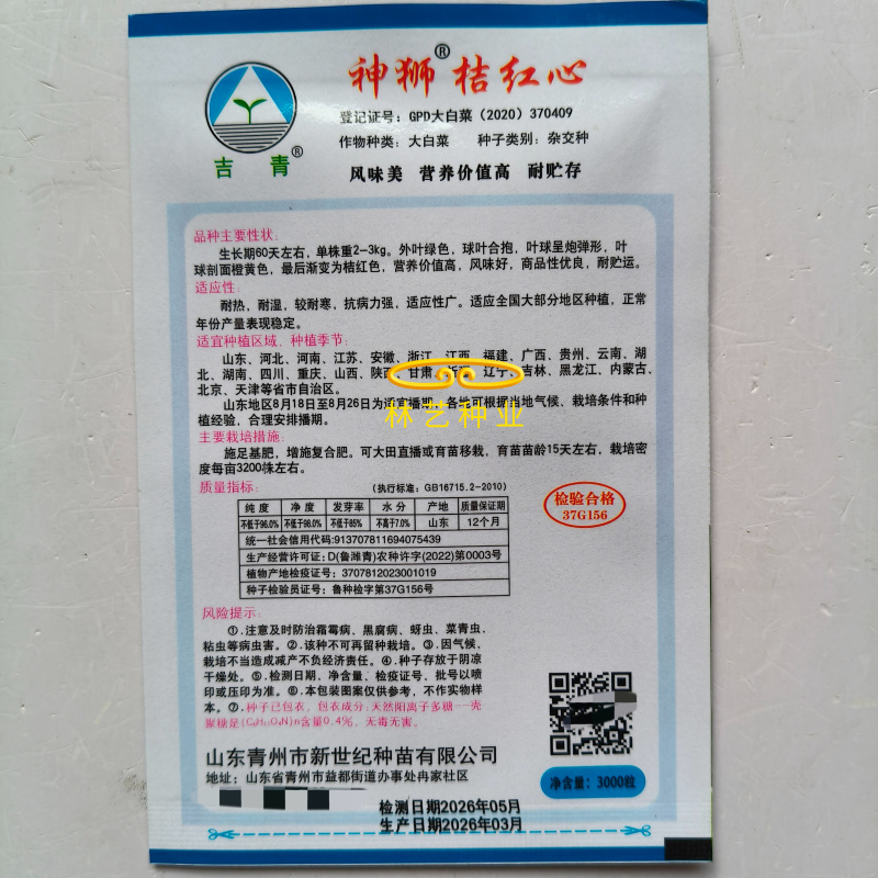 神狮桔红心大白菜种子炮弹形红心娃娃白菜60天耐贮运秋季播
