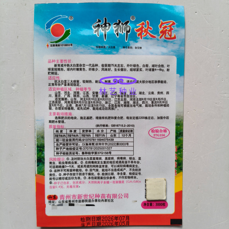 神狮秋冠黄心大白菜种子口感好优质高产抗三大病害基地大田
