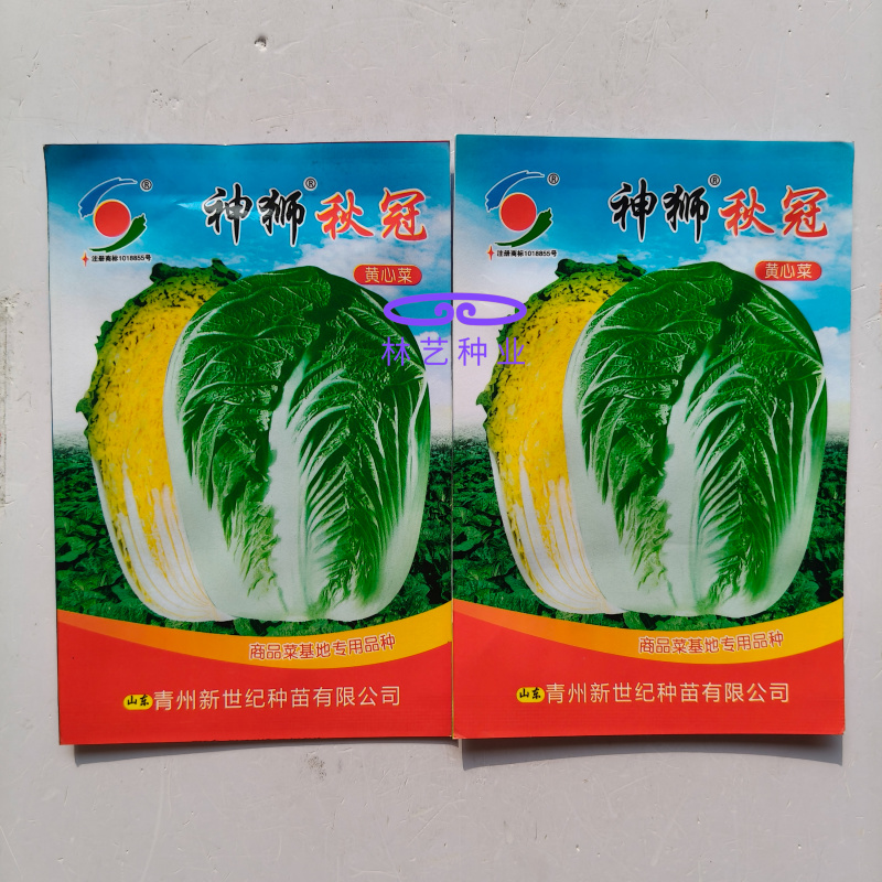 神狮秋冠黄心大白菜种子口感好优质高产抗三大病害基地大田