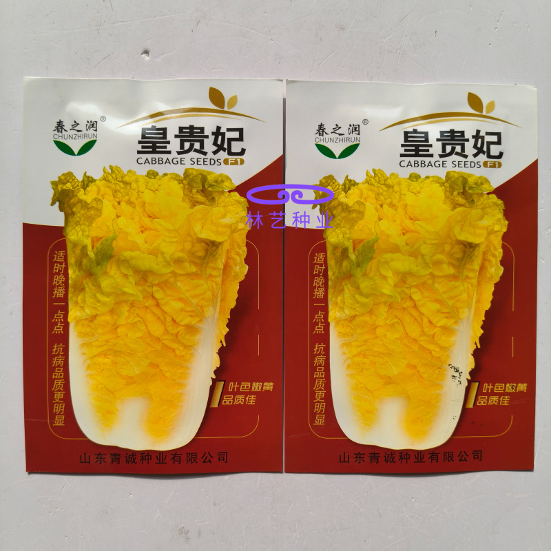 皇贵妃黄心大白菜种子高产抗抽苔南韩春秋两季农用大田播蔬菜