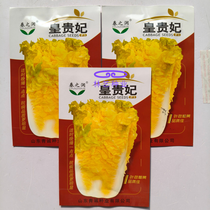 皇贵妃黄心大白菜种子高产抗抽苔南韩春秋两季农用大田播蔬菜