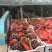 本地葡萄大量上市品种齐全，欢迎各位老板前来选购