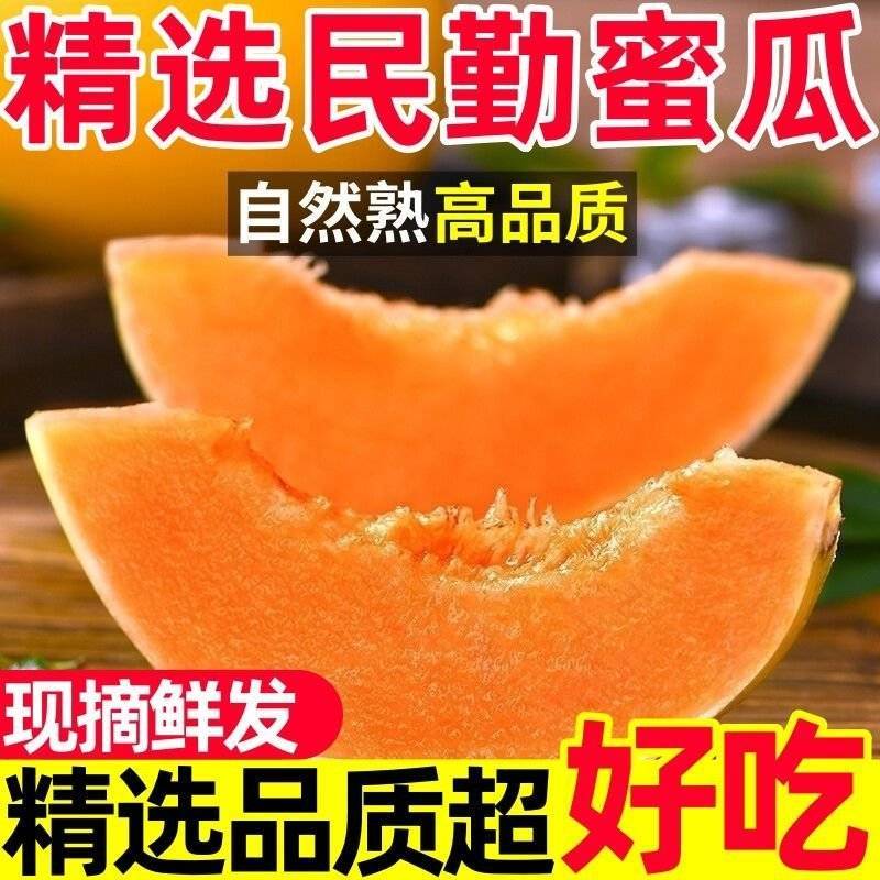 甘肃民勤沙漠蜜瓜，金红包，香甜软糯，产地货源