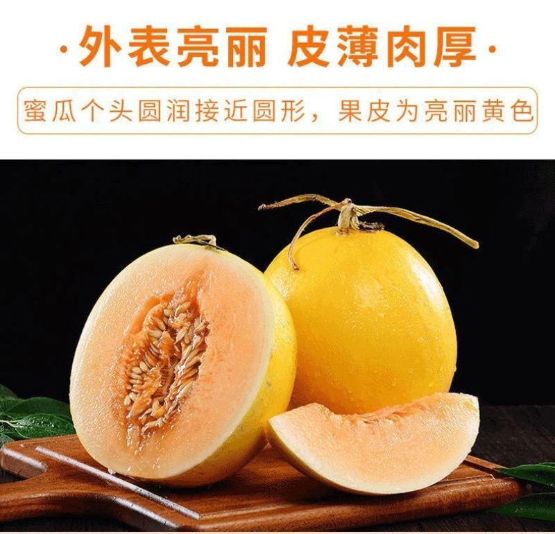 甘肃民勤沙漠蜜瓜，金红包，香甜软糯，产地货源