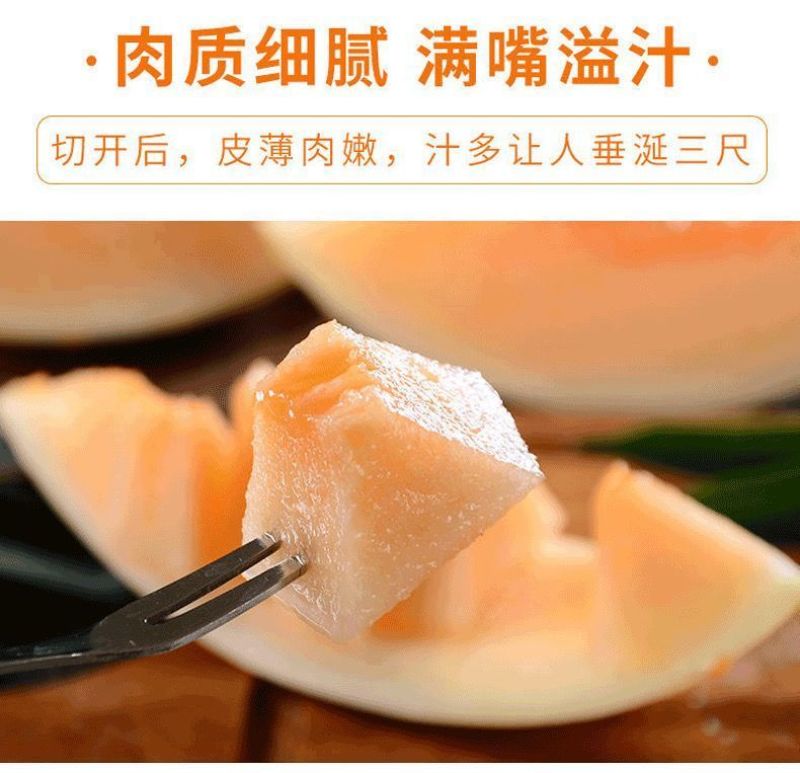 甘肃民勤沙漠蜜瓜，金红包，香甜软糯，产地货源