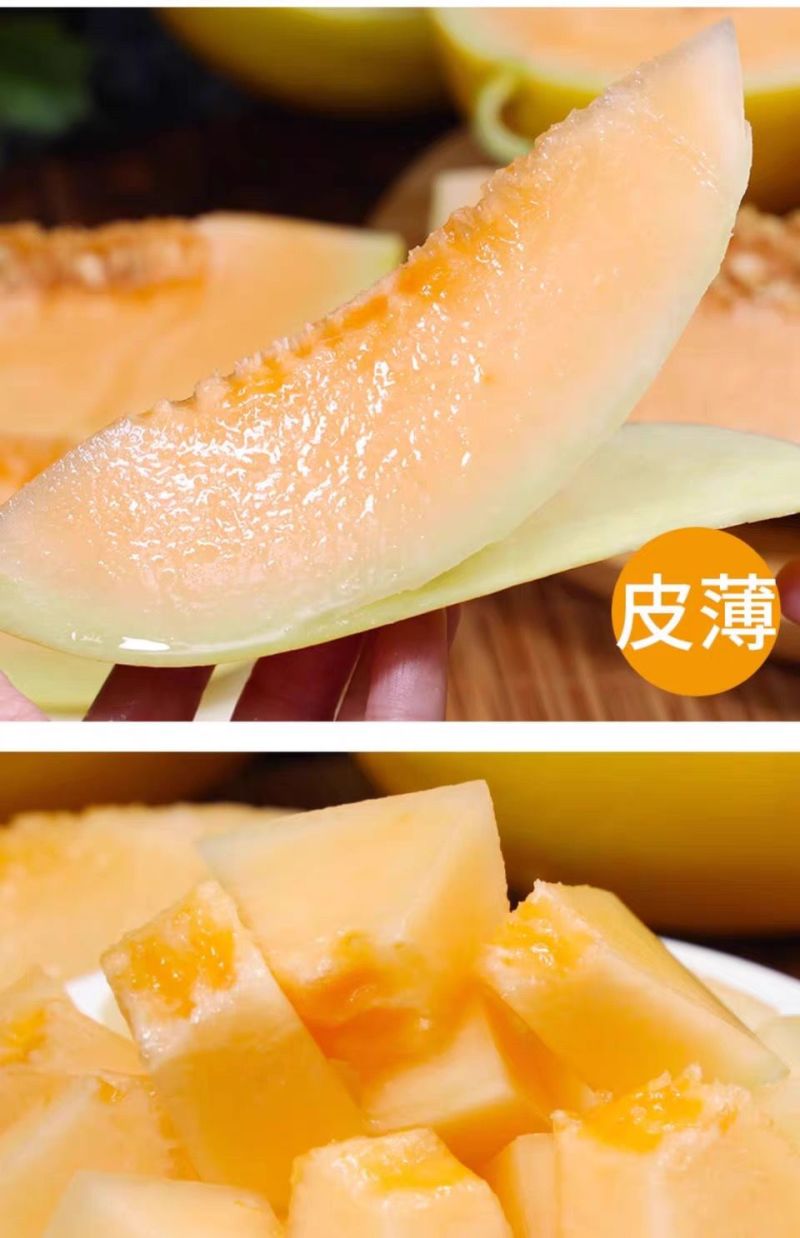 甘肃民勤沙漠蜜瓜，金红包，香甜软糯，产地货源