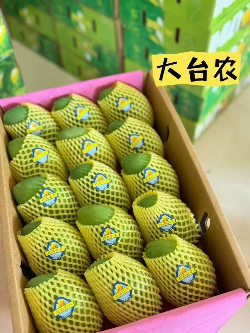 广西百色田东县大量芒果上市，现在是上市高峰期，口感品质是