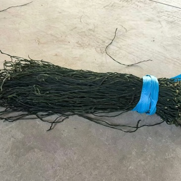 精品干豆角
