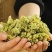 高原优质花菜干