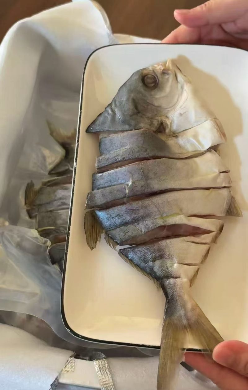 湛江特产深海金鲳鱼干出口品质标准化生产线300-500g