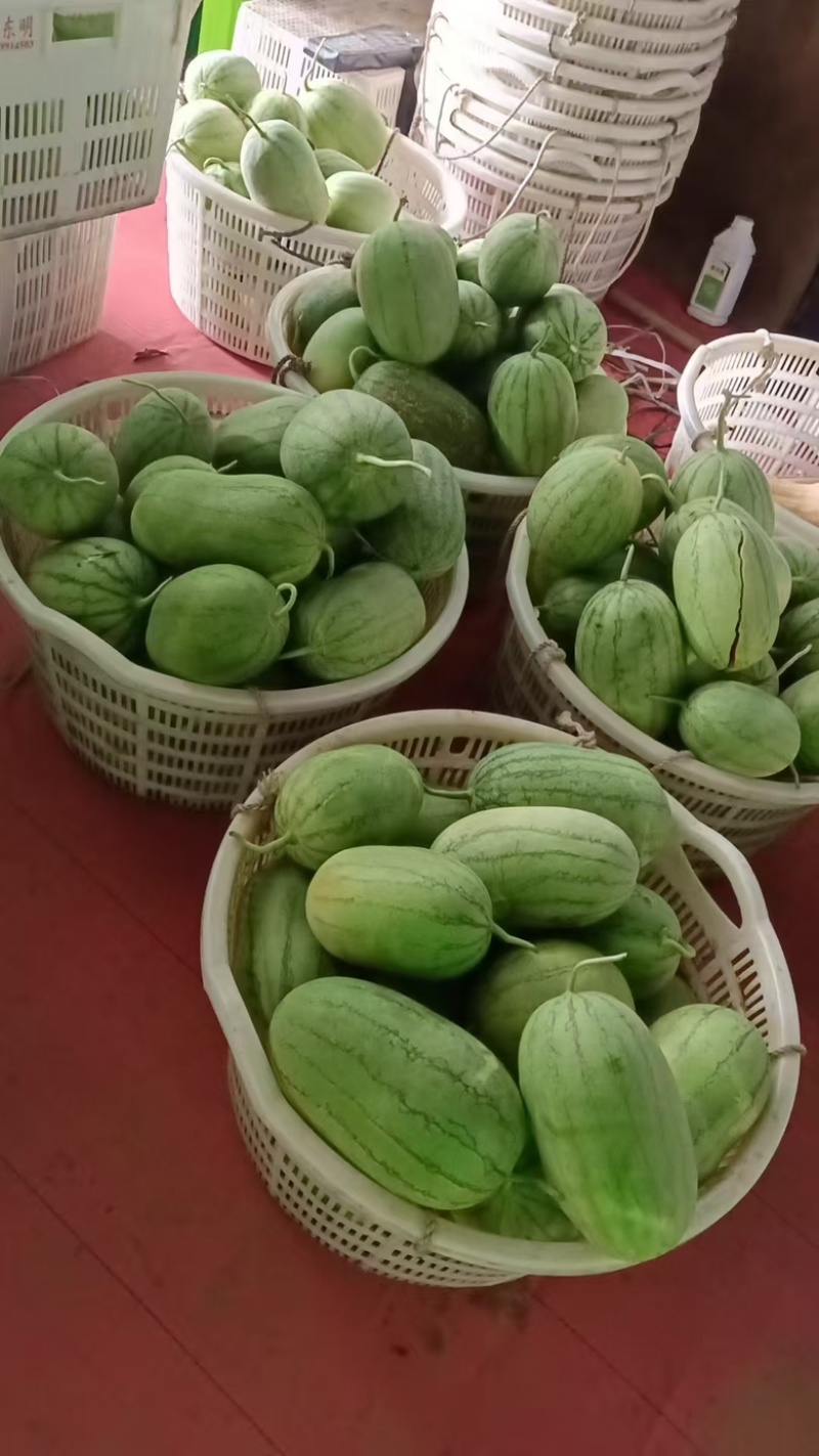 口口脆西瓜散装/纸箱装全国发货欢迎咨询