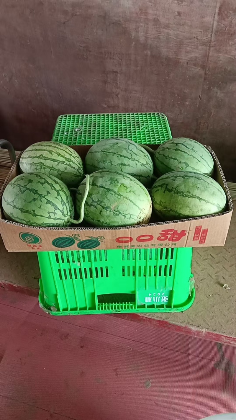 口口脆西瓜散装/纸箱装全国发货欢迎咨询
