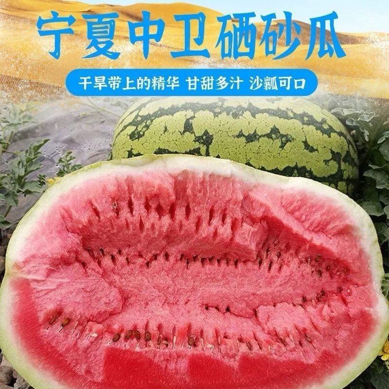 宁夏中卫硒砂瓜包熟包甜产地直发糖度高耐运输