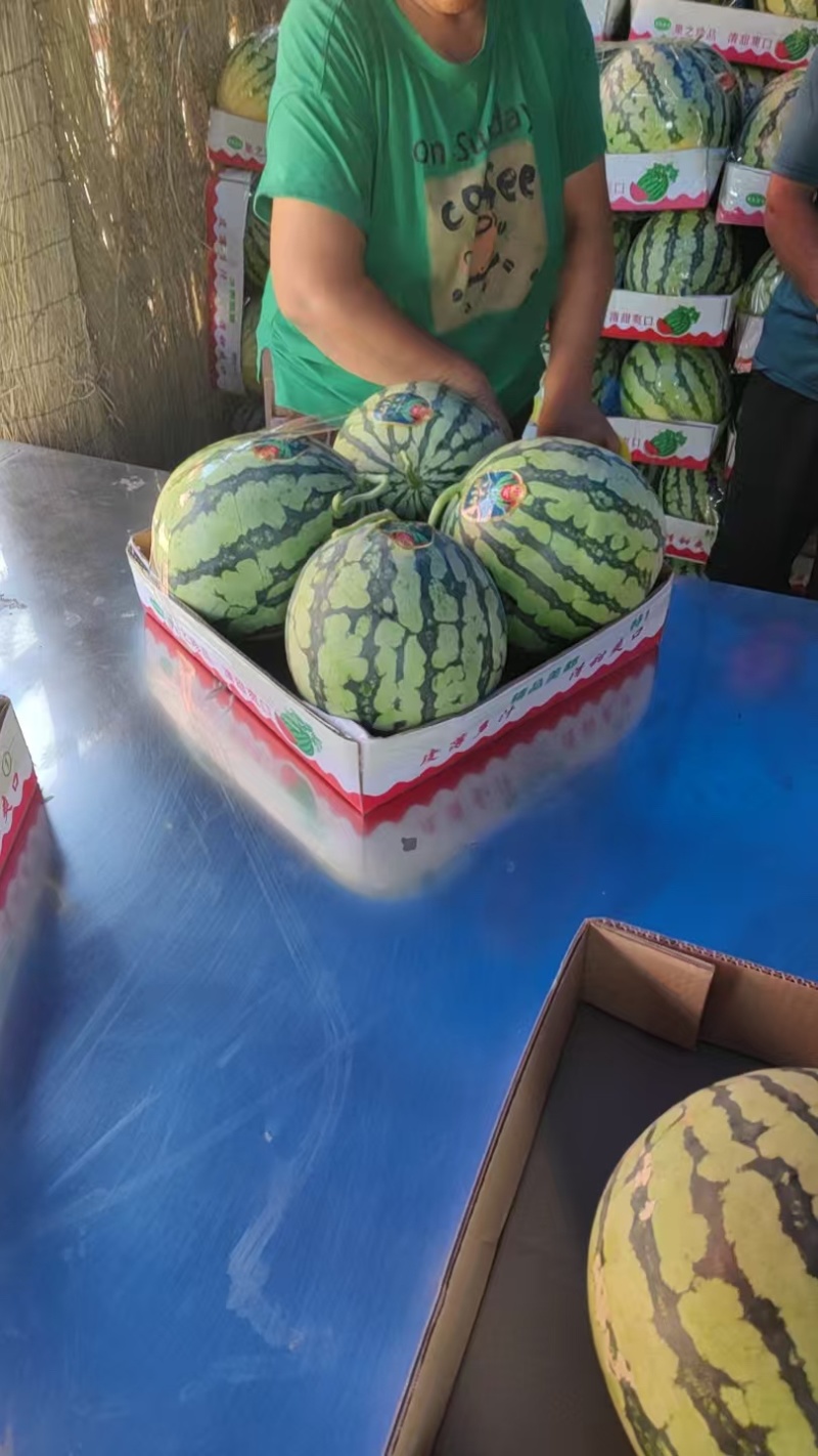 河南开封美都西瓜，瓜熟保甜，价格优惠，量大从优欢迎采