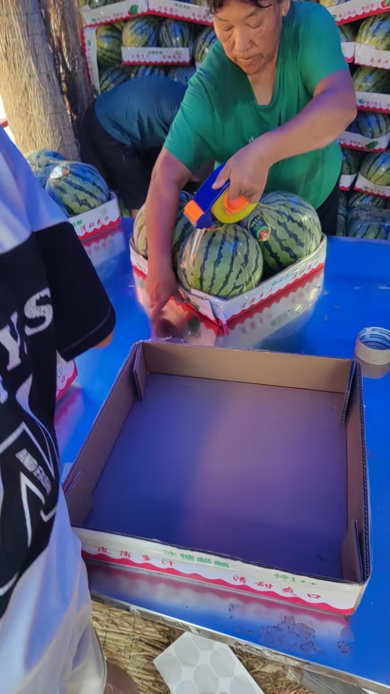 河南周口美都西瓜、自产自销，全国可发货、致电