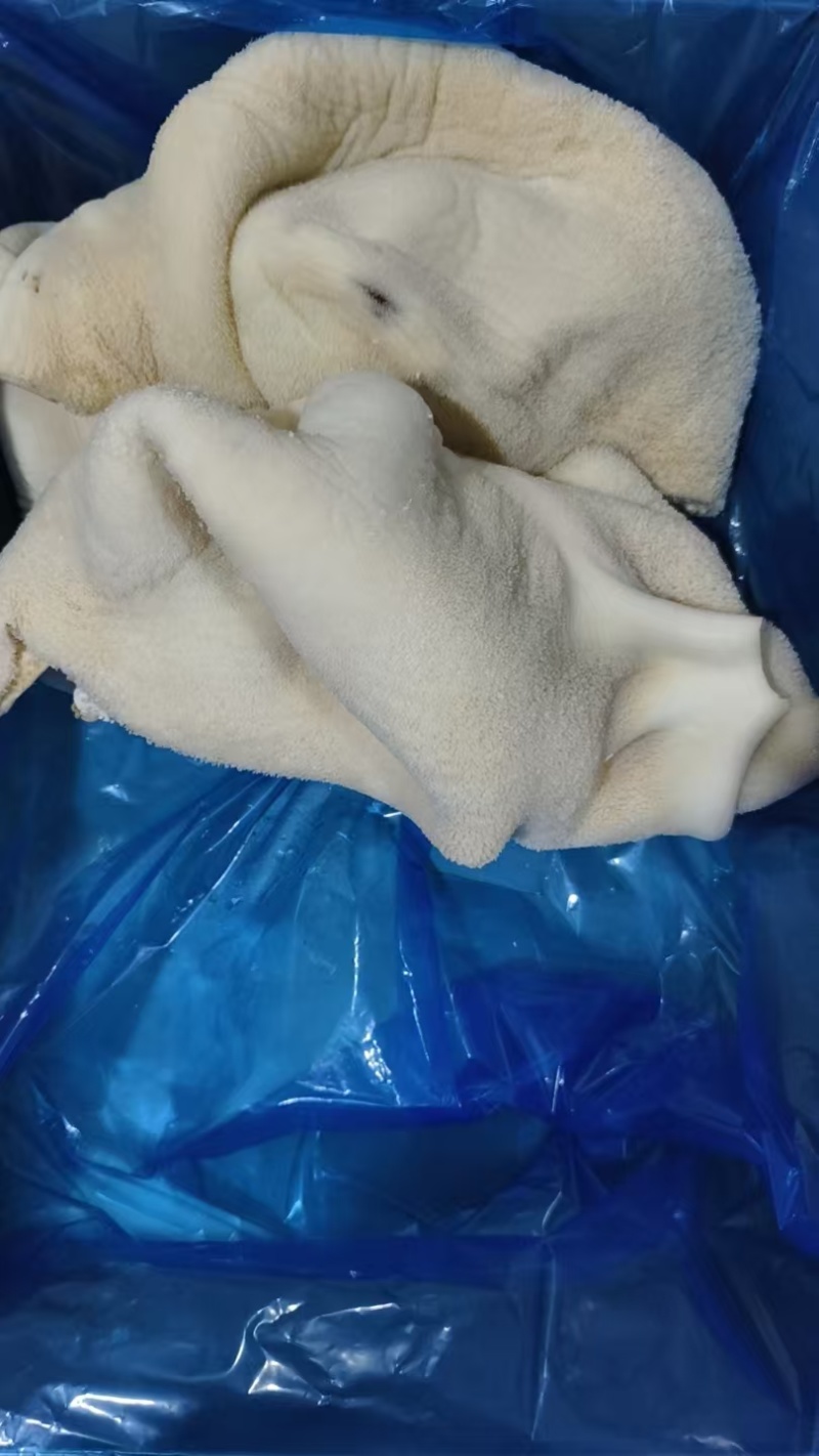 五分牛肚片，国产好货源，去油。工厂直发。