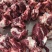 加肉肋条头，公牛，国产好货源。