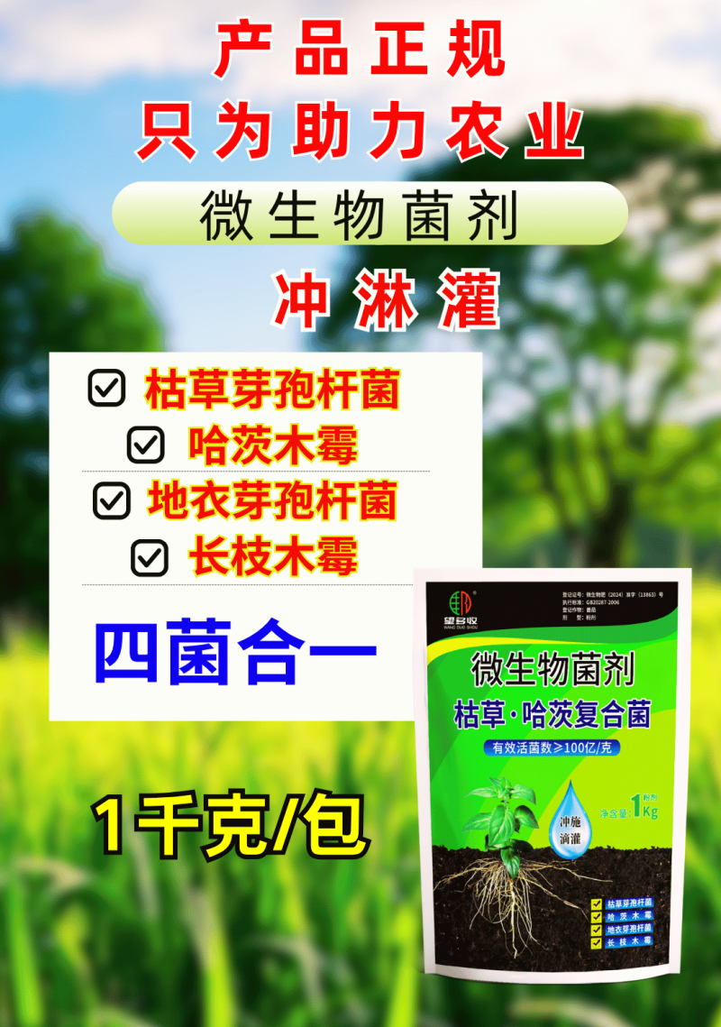 枯草哈茨复合菌四菌合一省时省力改土生根养地调节土壤