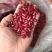 红芸豆红豆罐头馅料八宝粥红芸豆
