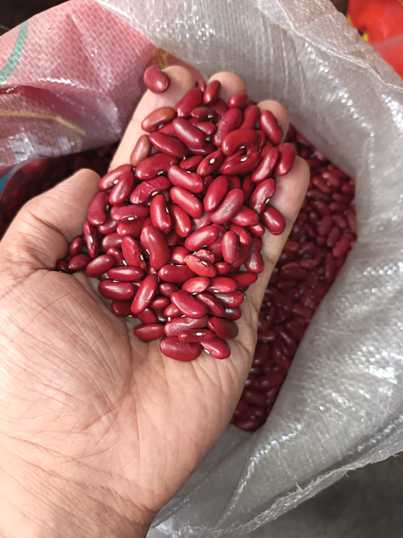 红芸豆红豆罐头馅料八宝粥红芸豆