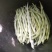 白无丝豆角