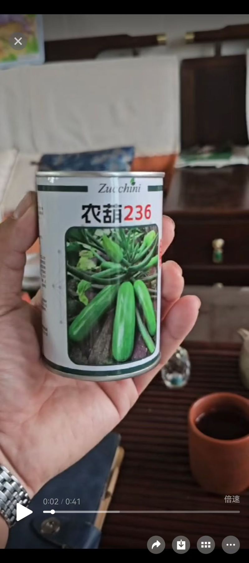 西葫芦苗，绿油亮型耐热，耐寒品种齐全支持全国发苗