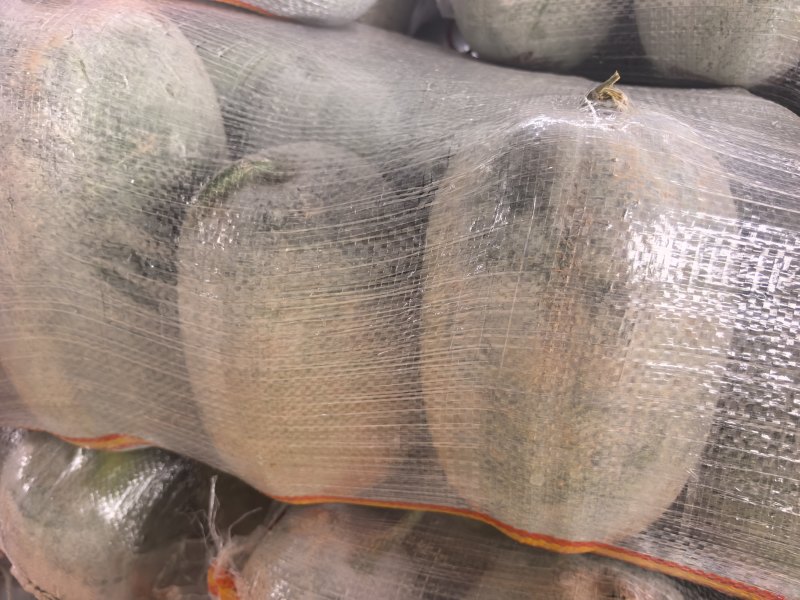 河南精品水果冬瓜一串零，小冬香，支持市场，电商一件代发