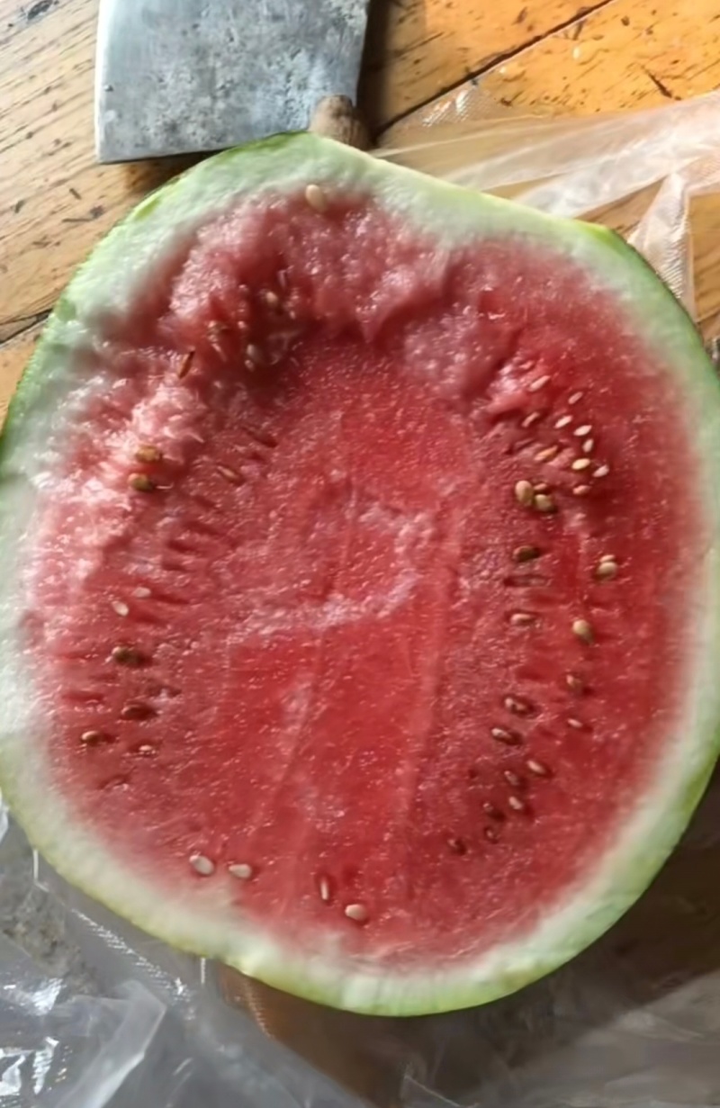 露天麦岔西瓜，保质保量，需要发货的老板联系