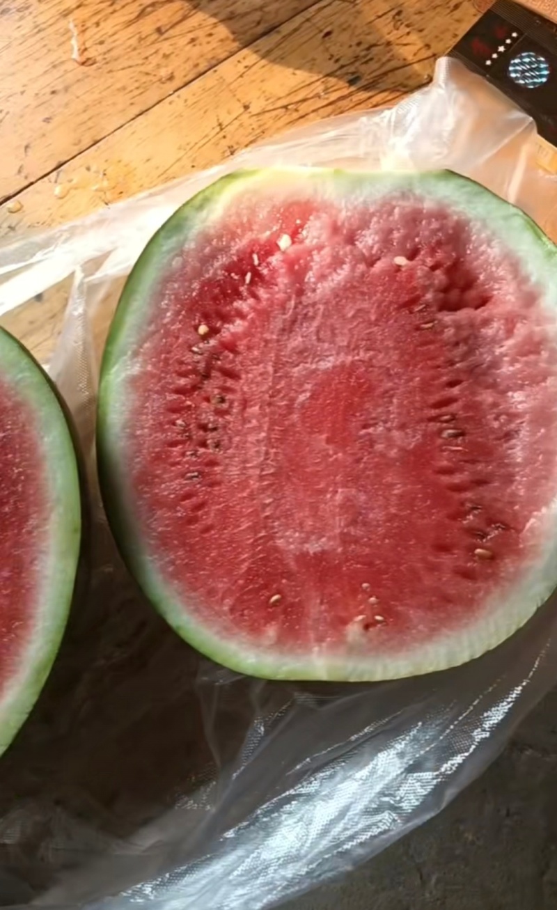 漏天麒麟西瓜西瓜，有需要的联系