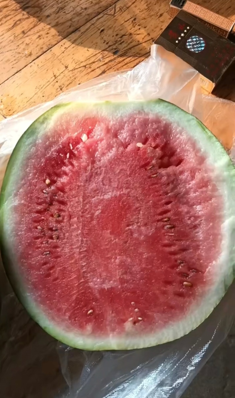 漏天麒麟西瓜西瓜，有需要的联系