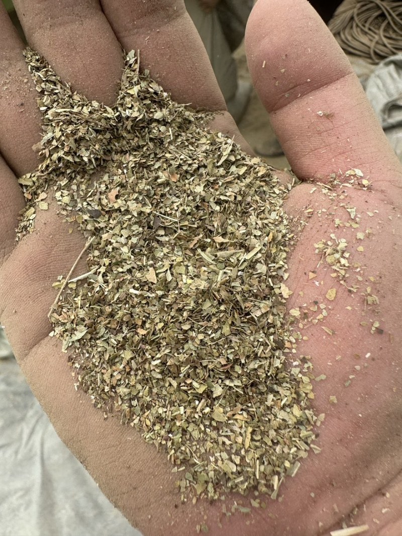 花生秧叶粉，花生秧粉，牛羊鸡鸭鹅饲料原料，营养丰富高蛋白