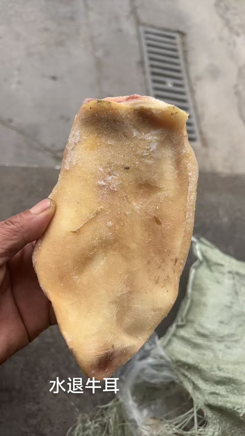 水退牛耳，国产好货源。工厂直发。
