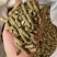 花生秧颗粒，牛羊马鹿驴通用牧草颗粒饲料性价比高