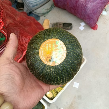 爆粉贝贝南瓜