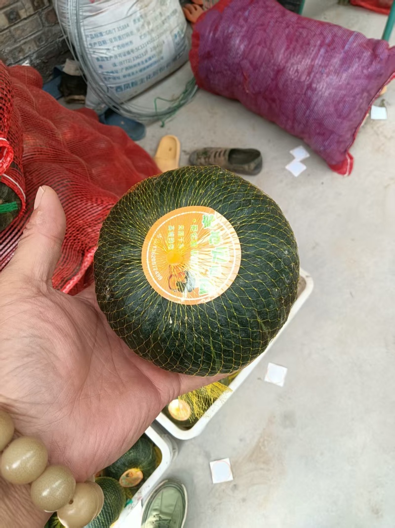 爆粉贝贝南瓜