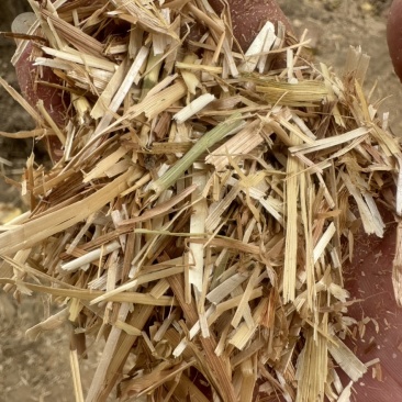小麦秸秆，全部经过二次粉碎过风选加工压块，干净利索无杂质