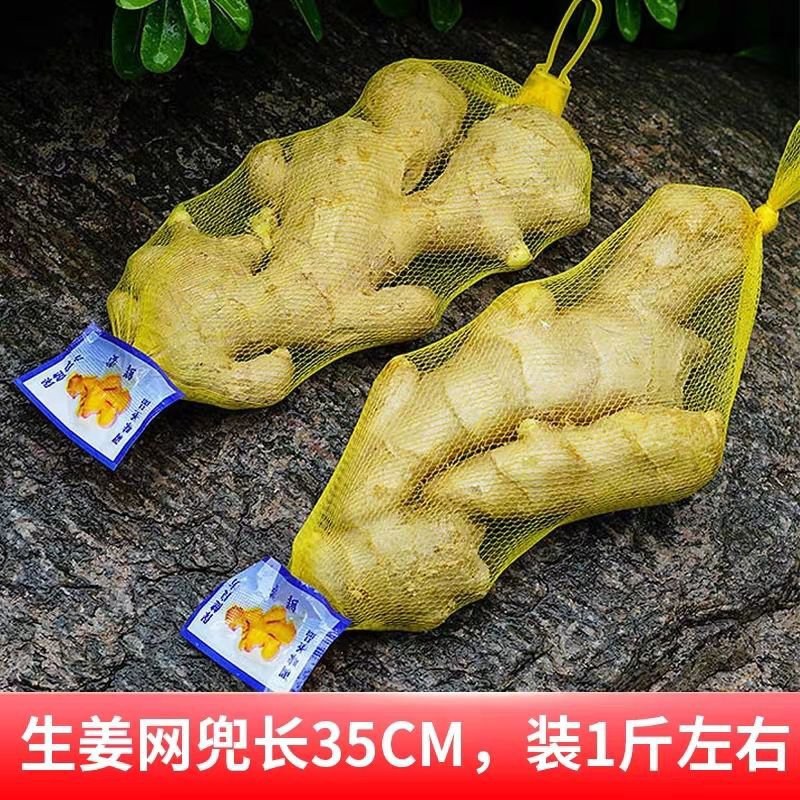 实惠质量生姜大蒜带标签尼龙材质网袋厂家批发包邮