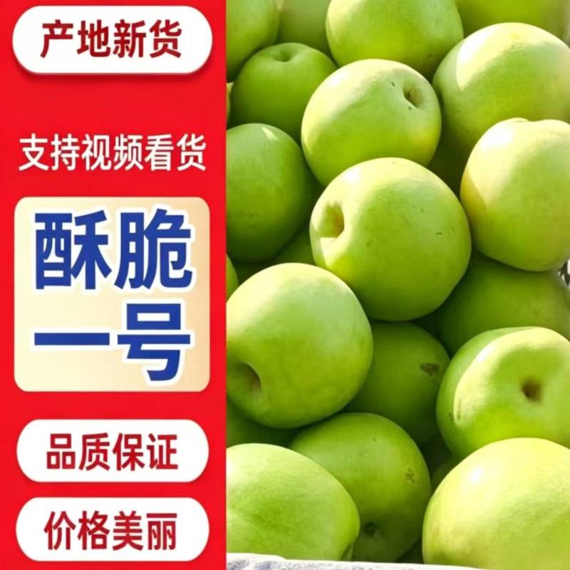 酥脆一号梨，含糖量高，口感纯甜，产地直供。