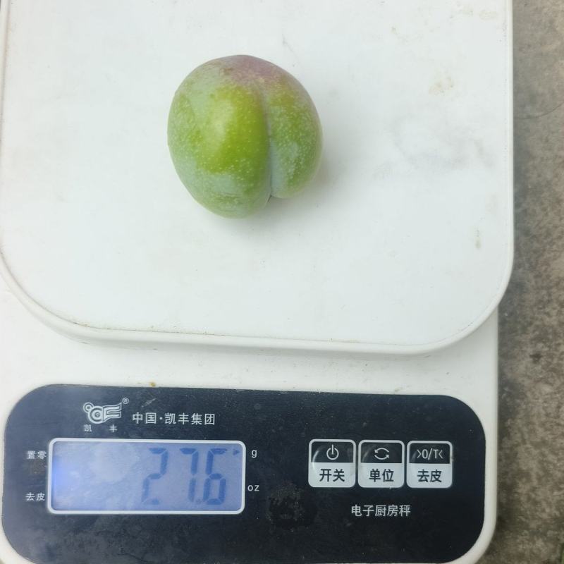 汉源小翠红开始上色了需要走电商批发越南