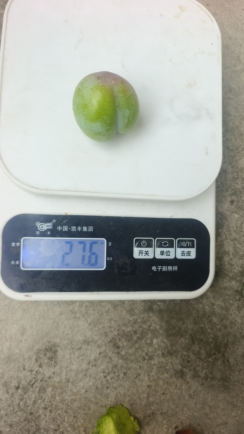 汉源小翠红开始上色了需要走电商批发越南