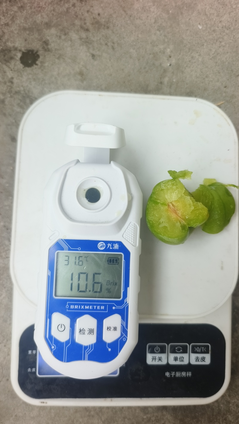 汉源小翠红开始上色了需要走电商批发越南